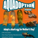 Aquadoption